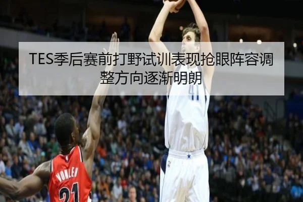 TES季后赛前打野试训表现抢眼阵容调整方向逐渐明朗